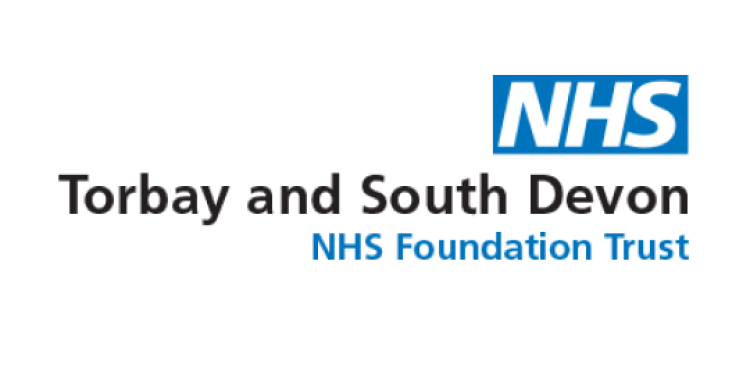 TSDFT Logo